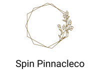 spinpinnacleco.com